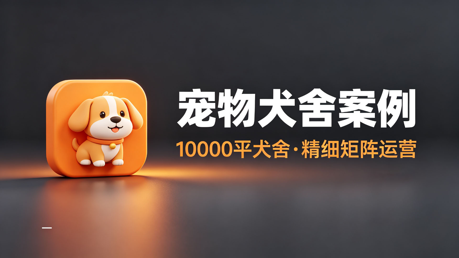胖桔萌犬舍：10000平犬舍，精细矩阵运营粉丝3.3万